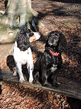 January 2017 Photo 15